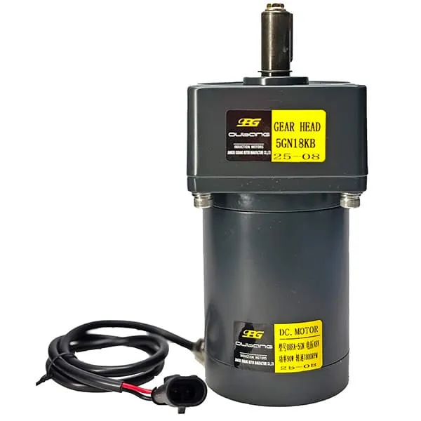 48V Sweeper Motor for Floor Cleaning Machine | Oubang Motor